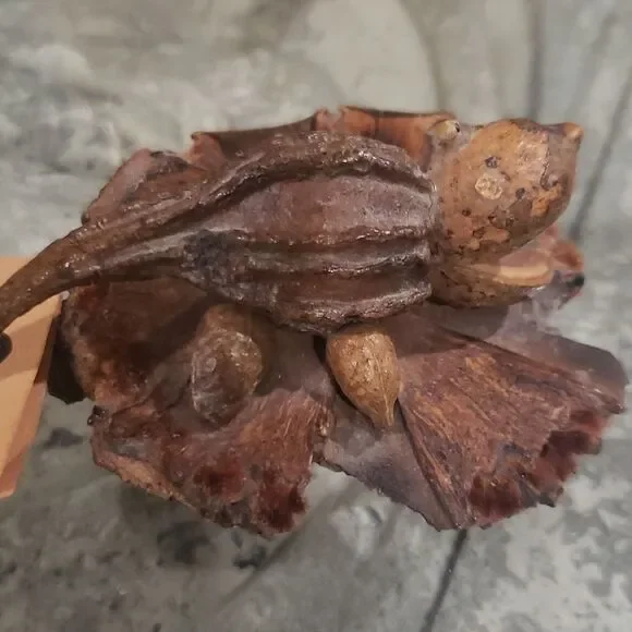 COTTAGE𝅺 - Picture 5 of 5